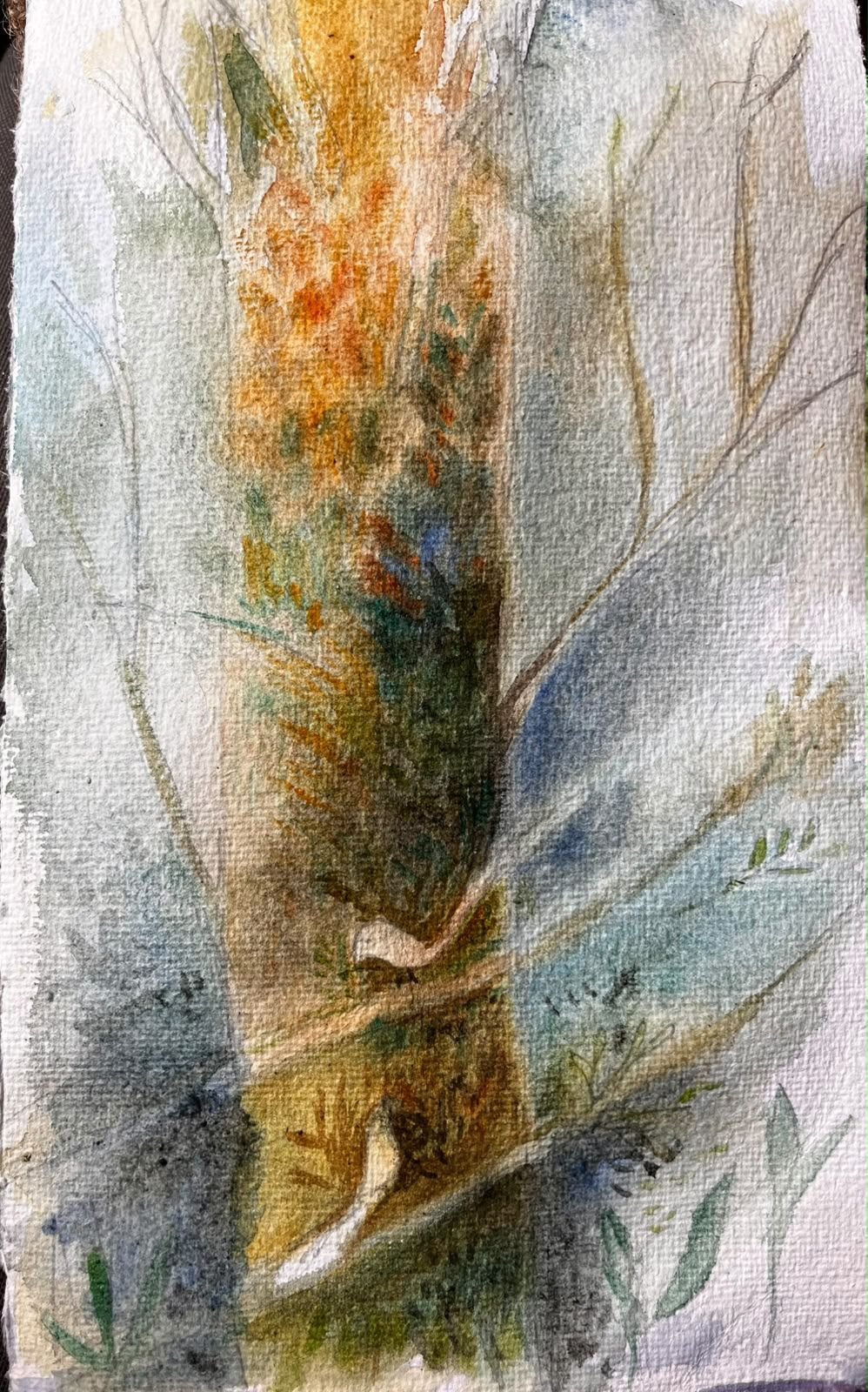 Sketch 11