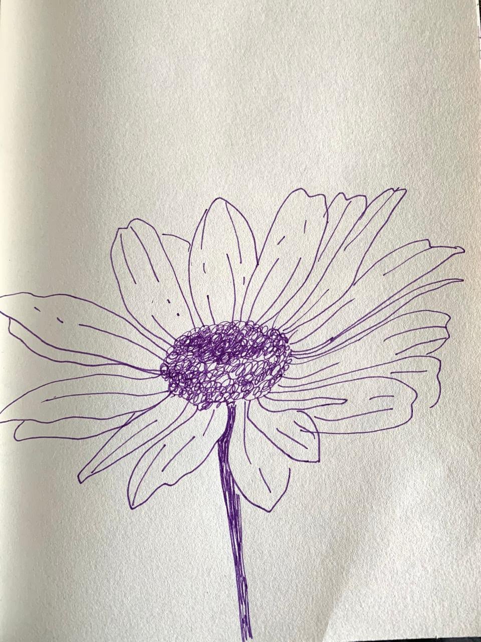 Sketch 18